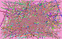 reverse email look up